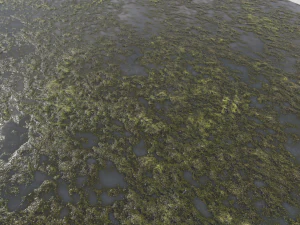 water with algae pbr CG Textures