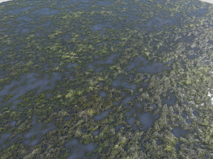 water with algae pbr CG 纹理
