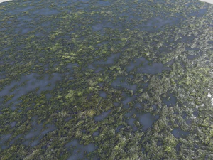 water with algae pbr CG Textures