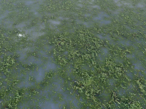 water with algae pbr CG Textures