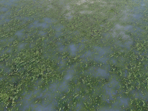 water with algae pbr CG 纹理