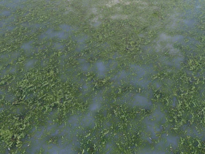 water with algae pbr CG Textures