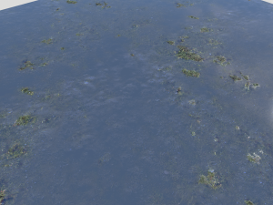 water with algae pbr CG 纹理