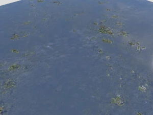 water with algae pbr CG Textures