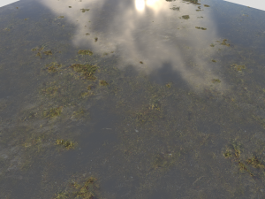 water with algae pbr CG 纹理