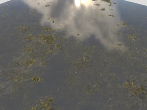 water with algae pbr CG Textures