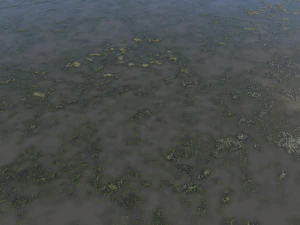 water with algae pbr CG Textures