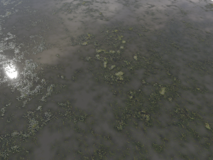 water with algae pbr CG 纹理