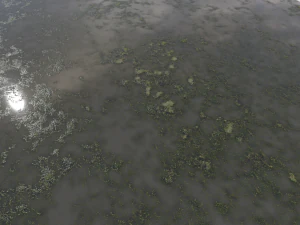 water with algae pbr CG Textures