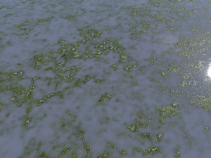 water with algae pbr CG 纹理