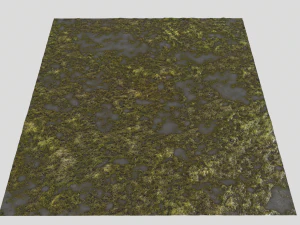 water with algae pbr CG Textures