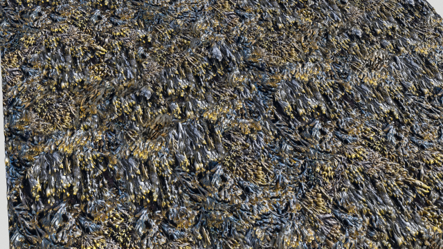 seaweed textures pbr CG Текстуры .c4d .max .obj .3ds .fbx .stl .blend 
