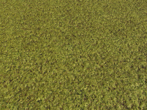 moss pack 1 CG Tekstury