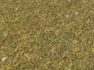 moss pack 1 CG Textures