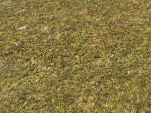 moss pack 1 CG Textures