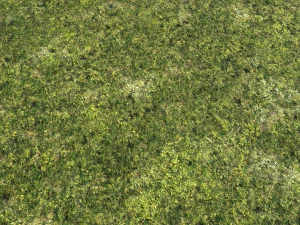 moss pack 1 CG Textures