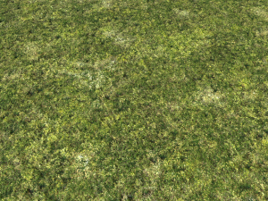 moss pack 1 CG Textures