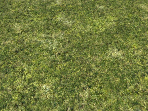moss pack 1 CG Textures