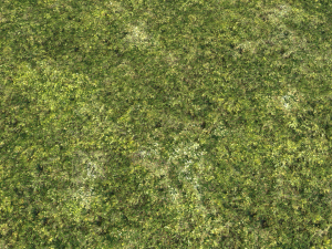 moss pack 1 CG Textures