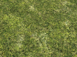 moss pack 1 CG Textures
