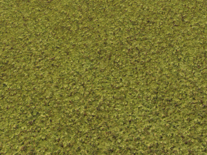 moss pack 1 CG Textures
