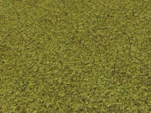 moss pack 1 CG Textures