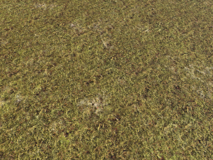 moss pack 1 CG Textures