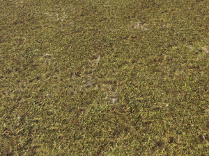 moss pack 1 CG Textures