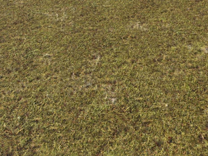 moss pack 1 CG Textures