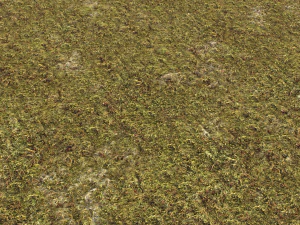 moss pack 1 CG Textures
