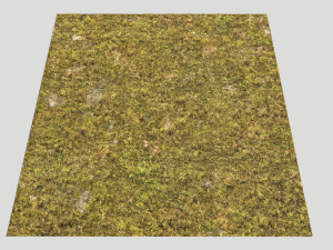 moss pack 1 CG Textures