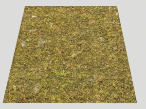 moss pack 1 CG Textures