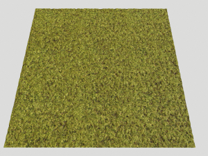 moss pack 1 CG Textures