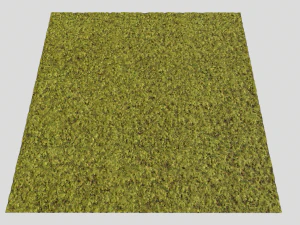 moss pack 1 CG Textures