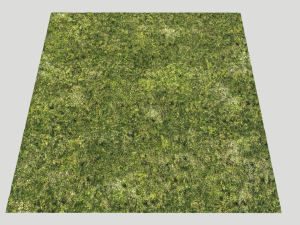 moss pack 1 CG Textures
