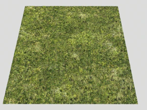 moss pack 1 CG Textures