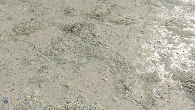 dirt terrain pbr pack 5 textures CG Textures .c4d .max .obj .3ds .fbx .stl .blend