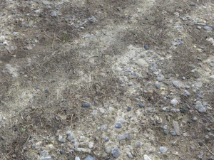 dirt terrain pbr pack 5 textures CG Textures