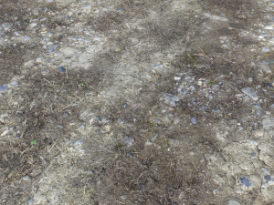 dirt terrain pbr pack 5 textures CG 纹理