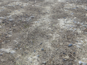dirt terrain pbr pack 5 textures CG 纹理