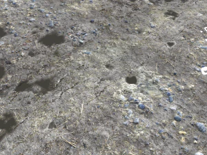 dirt terrain pbr pack 5 textures CG Textures