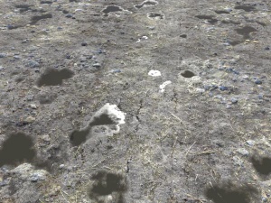 dirt terrain pbr pack 5 textures CG Textures