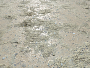 dirt terrain pbr pack 5 textures CG 纹理