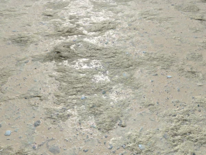 dirt terrain pbr pack 5 textures CG Textures
