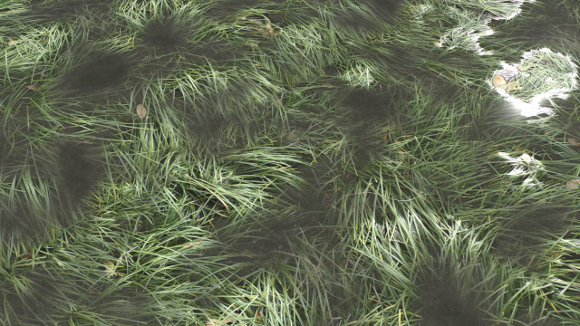 water with algae and plants 3 CG Texturen .c4d .max .obj .3ds .fbx .stl .blend 