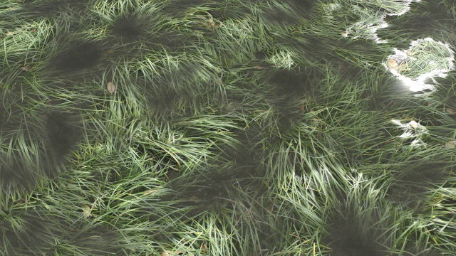 water with algae and plants 3 CG Textures .c4d .max .obj .3ds .fbx .stl .blend