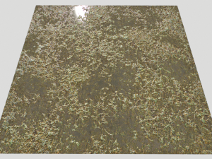 water with algae and plants 3 CG Texturen