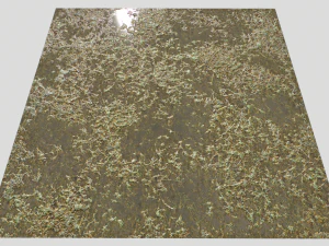 water with algae and plants 3 CG Textures