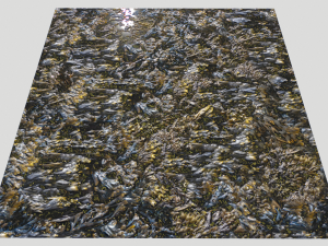 water with algae and plants 3 CG Texturen