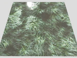 water with algae and plants 3 CG Textures